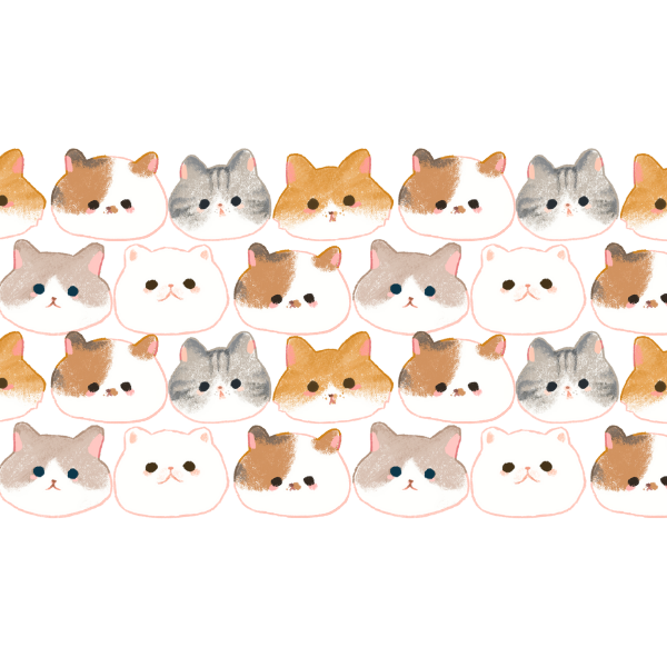 Sweet Baby Cat Expression