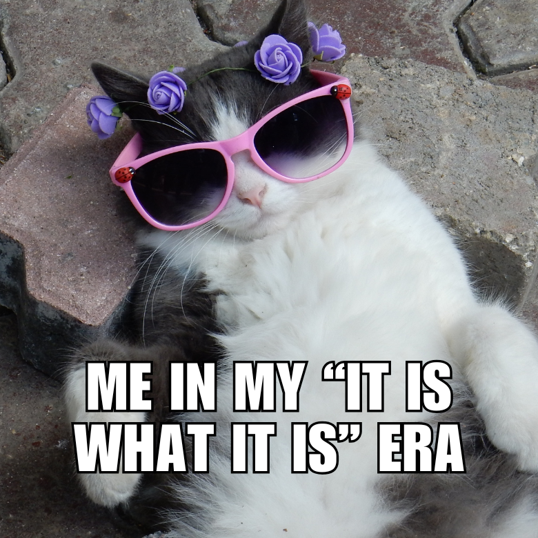 ✨ It Is What It Is – Chill Cat Magnet ✨