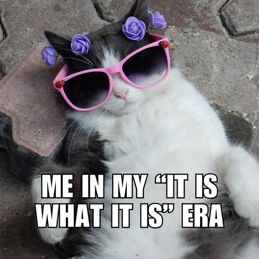 ✨ It Is What It Is – Chill Cat Magnet ✨